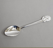 Cat_spoon